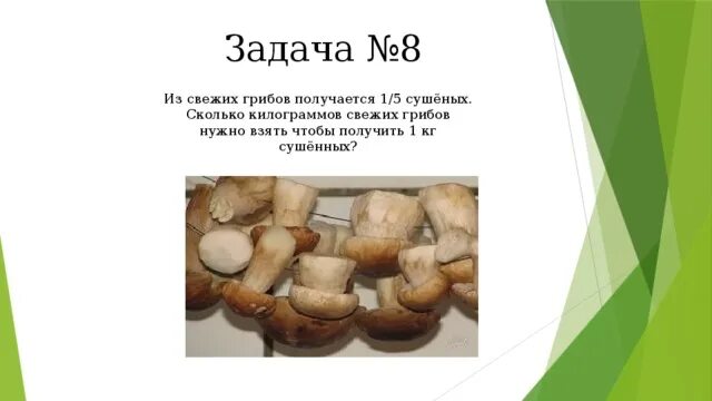 Сколько взять сырой. Сколько сушеных грибов получается из 1 кг свежих. Килограмм сушеных грибов. Сколько из 1 кг грибов получается сушеных. 1 Кг сушеных грибов это сколько свежих.