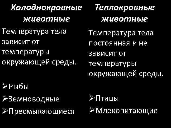 Температура холоднокровных животных. Холоднокровные и теплокровные животных. признаки холоднокровных животных. холоднокровные животные температура тела. температура тела зависит.