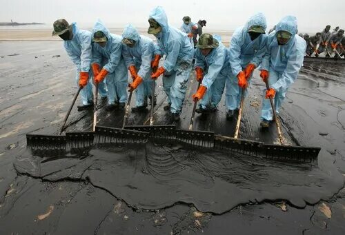 GISMETEO: В Ростове-на-Дону произошел крупный разлив нефти