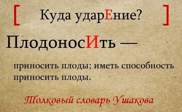 Выделяют где ударения