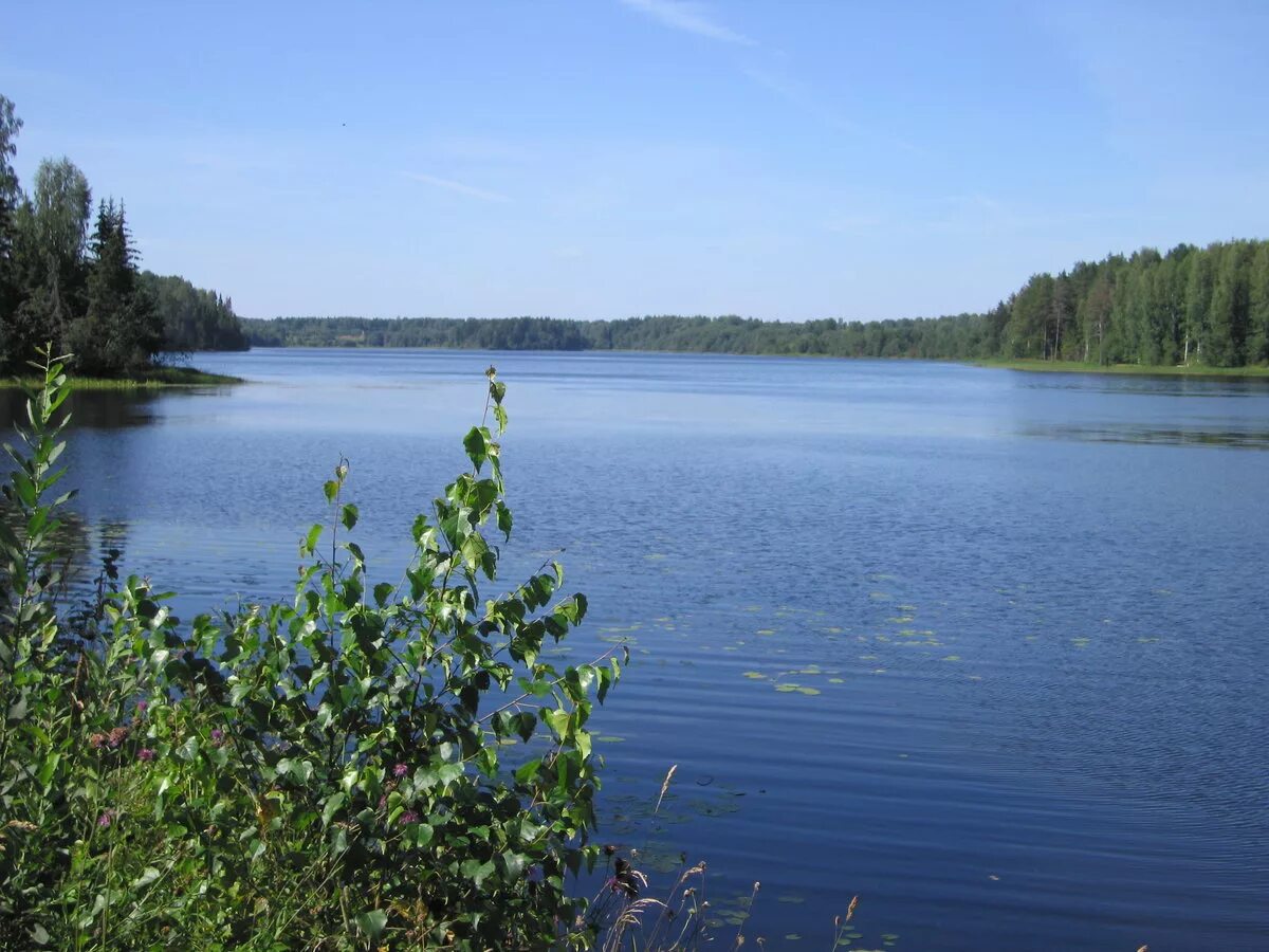 озеро тверская. озеро тверская. озеро тверская. озеро чичатское тверская область. оз стерж тверская область.