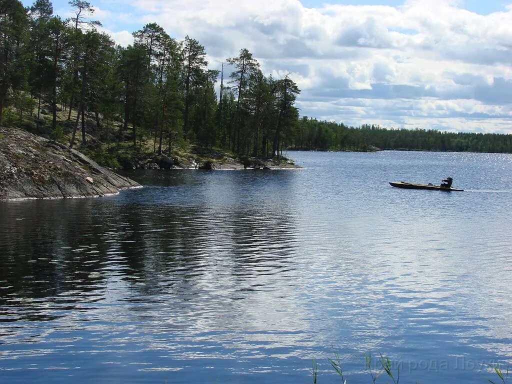 Погода в амбарном лоухский. Лоухи Карелия. Лоухи озеро. Лоухи Карелия природа. Сосновый Карелия Лоухский район.