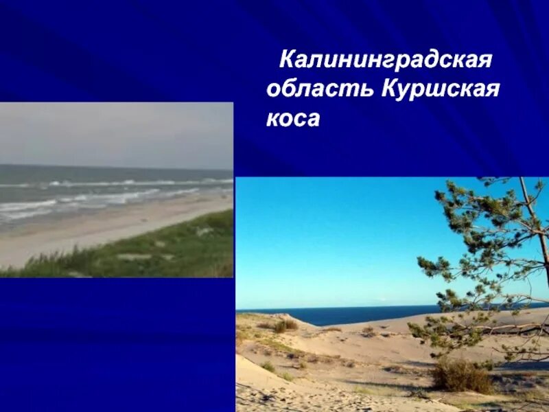 Сообщение про куршскую косу