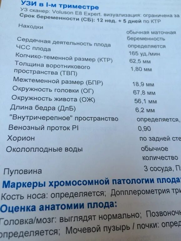 Толщина воротникового пространства 1 скрининг фото. Толщина воротникового пространства в 12 недель норма. Толщина воротникового пространства 1.0 мм форум. Скрининг 1 триместра цена. Норма воротникового пространства в 13 недель