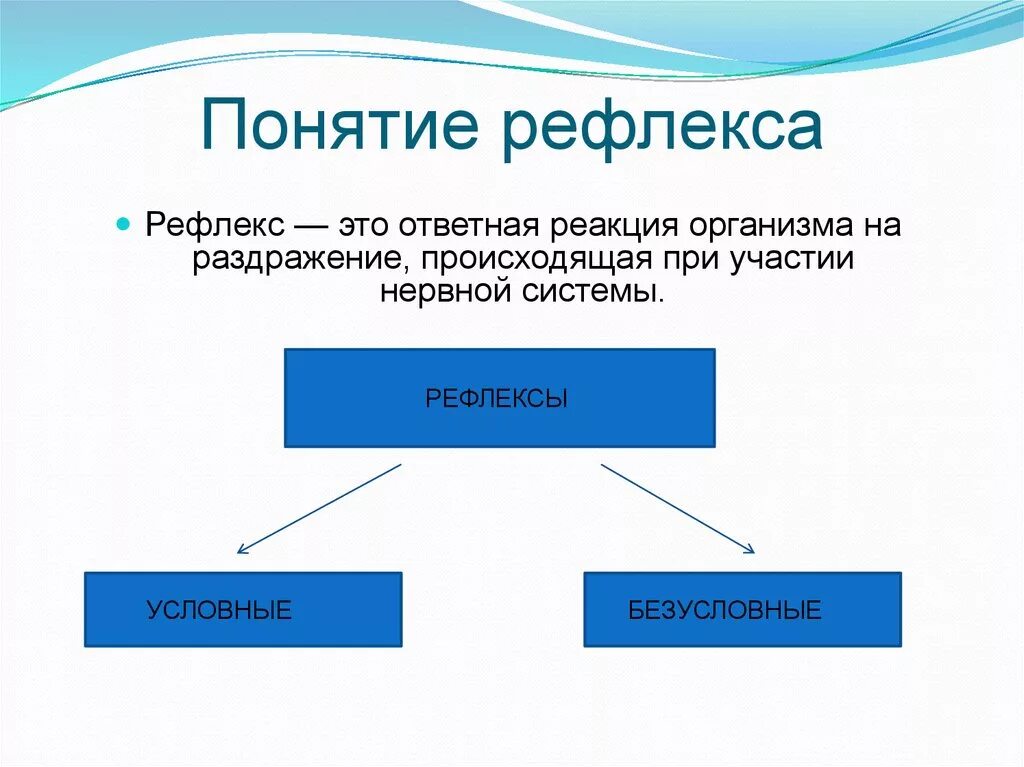 Понятие об условных и безусловных рефлексах. Понятие о рефлексе. Определение понятия рефлекс. Рефлекс это кратко. Расскажи о безусловном рефлексе