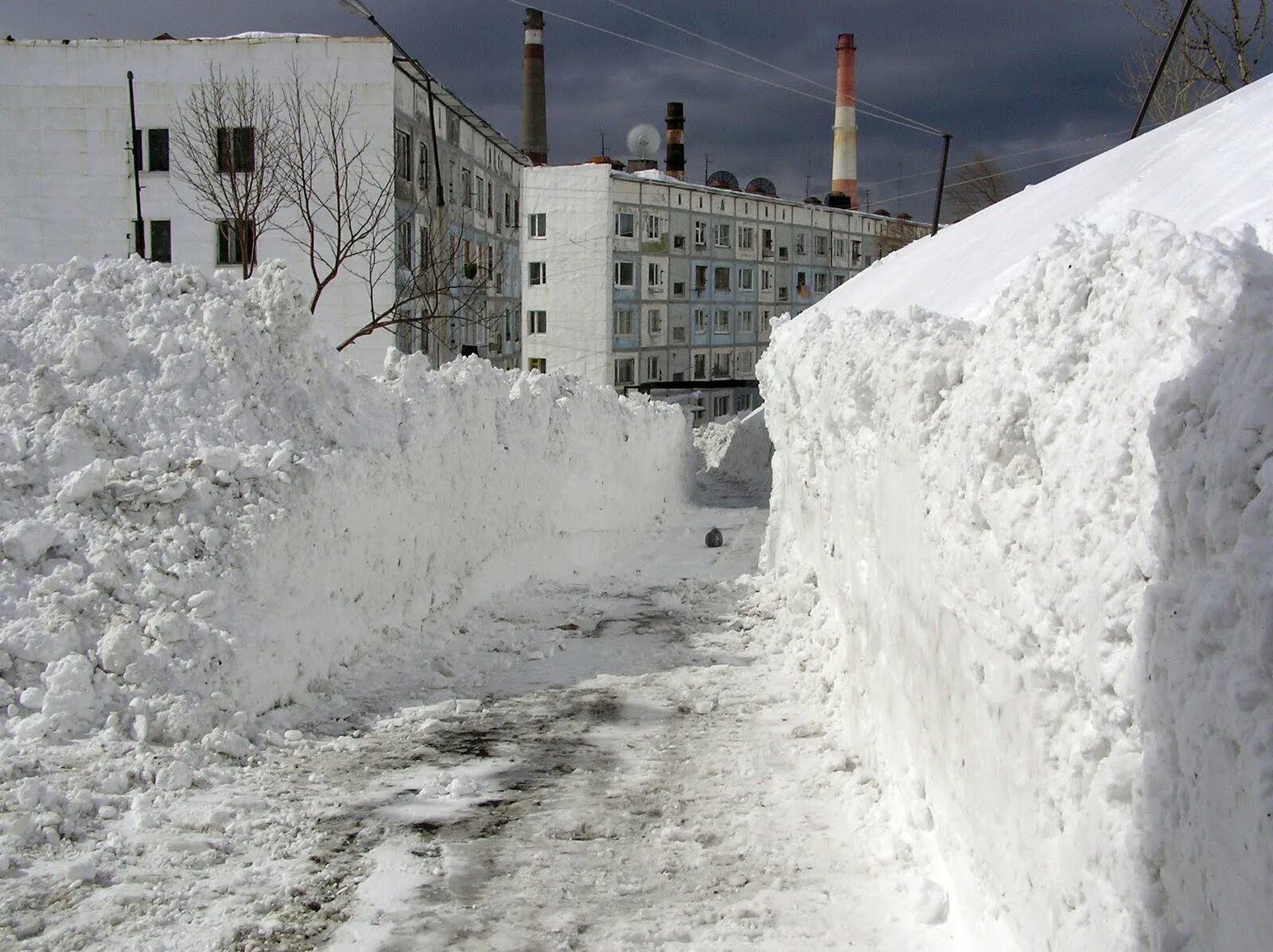 Город сугробов. Сугробы в городе. Большие сугробы. Кировск сугробы. Самые большие сугробы снега.