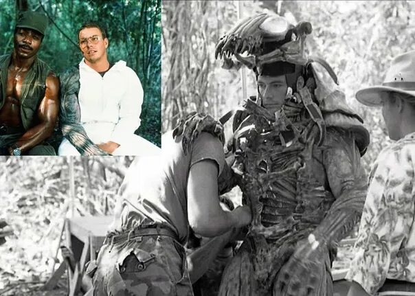 Ван дамм хищник. Ван дамм хищник. Ван дамм хищник. Ван дамм хищник. Ван дамм хищник.