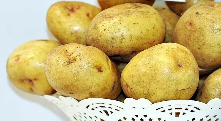 Лучшие сорта картофеля для различных регионов. Описание, характеристики, фото - 