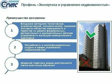 Виды экспертных специальностей