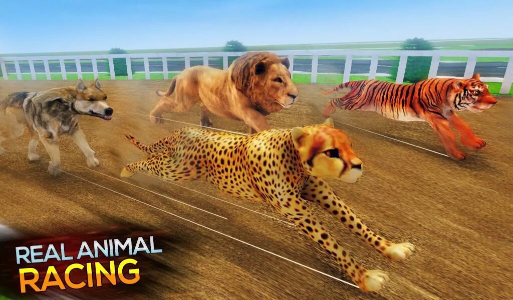 Animal race. Симулятор дикой лошади. Энималс рейсинг. Wild animal Racing. Сафари Реал.