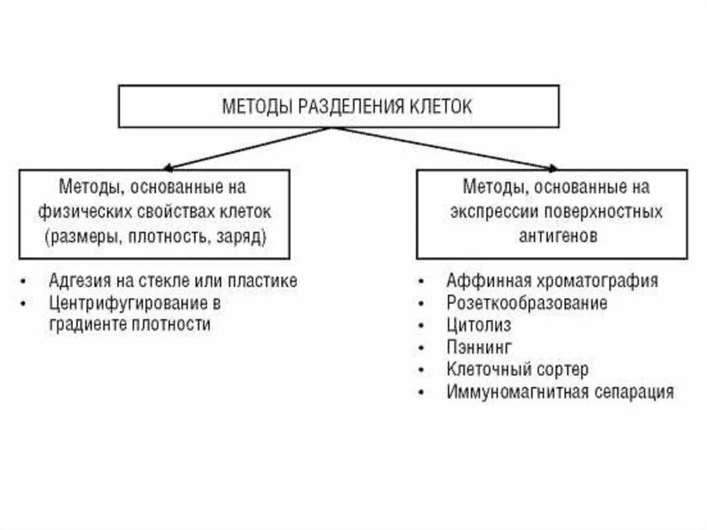 Группы методов разделения. Разделение клеточных структур метод. Методы биологических исследований Разделение клеточных структур. Методы разделения клеток периферической крови человека. Разделение клеточных структур какой метод.