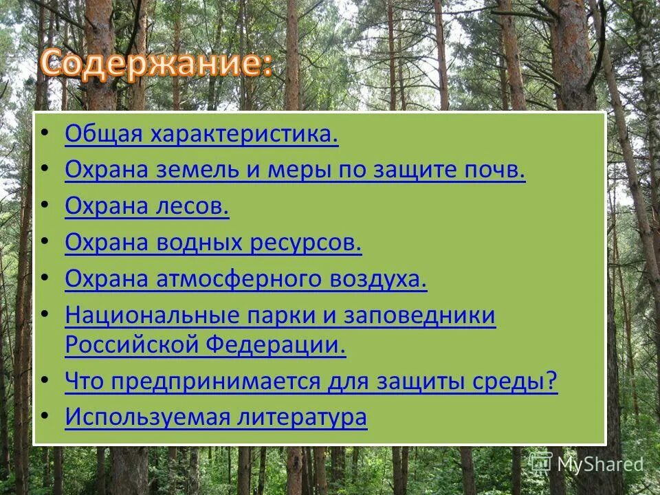 Охрана лесов в россии. Охрана и защита леса. Меры сохранения лесов. Меры охраны леса. Охрана леса заповедники.