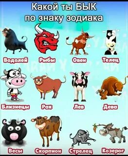 В какой год рожден телец