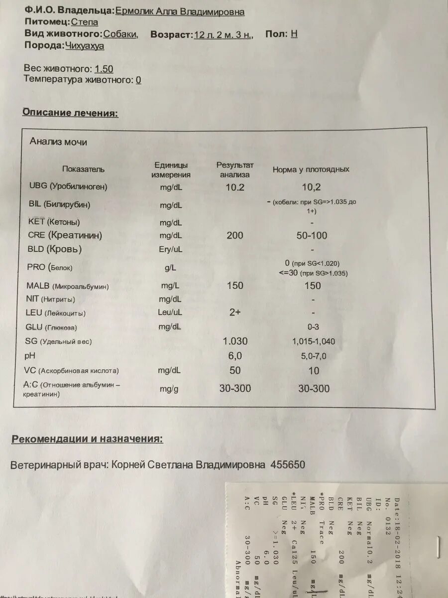 Результат мочи расшифровка у взрослого. Leu в анализе мочи что это. Leu в анализе мочи норма. Cre в анализе мочи. Исследование мочи показатели Leu.