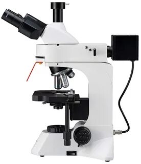 400x microscope