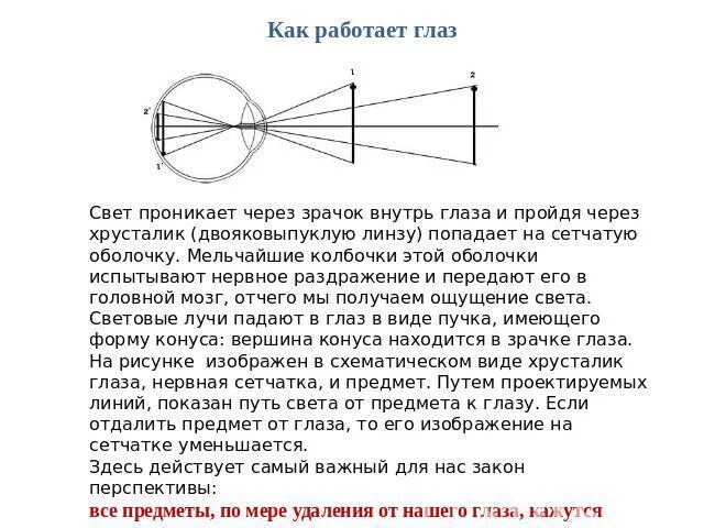 Как работает глаз. Как работает зрение человека. Как свет проходит через глаз. Как работает зрение схема.