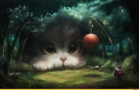 Картинка волшебный кот