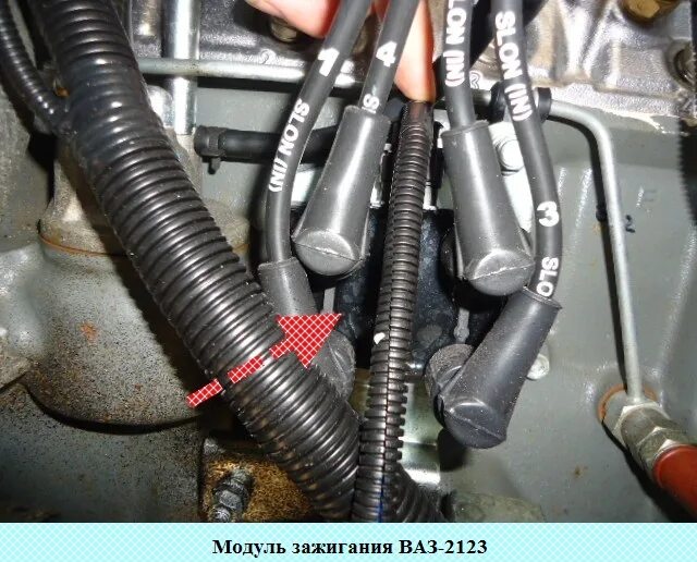 Провода нива 21214 инжектор. Катушка зажигания нива шевроле порядок. разъем зажигания нива шевроле. катушка зажигания нива шевроле 2123. модуль зажигания нива 21214.