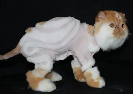 Подстричь кота