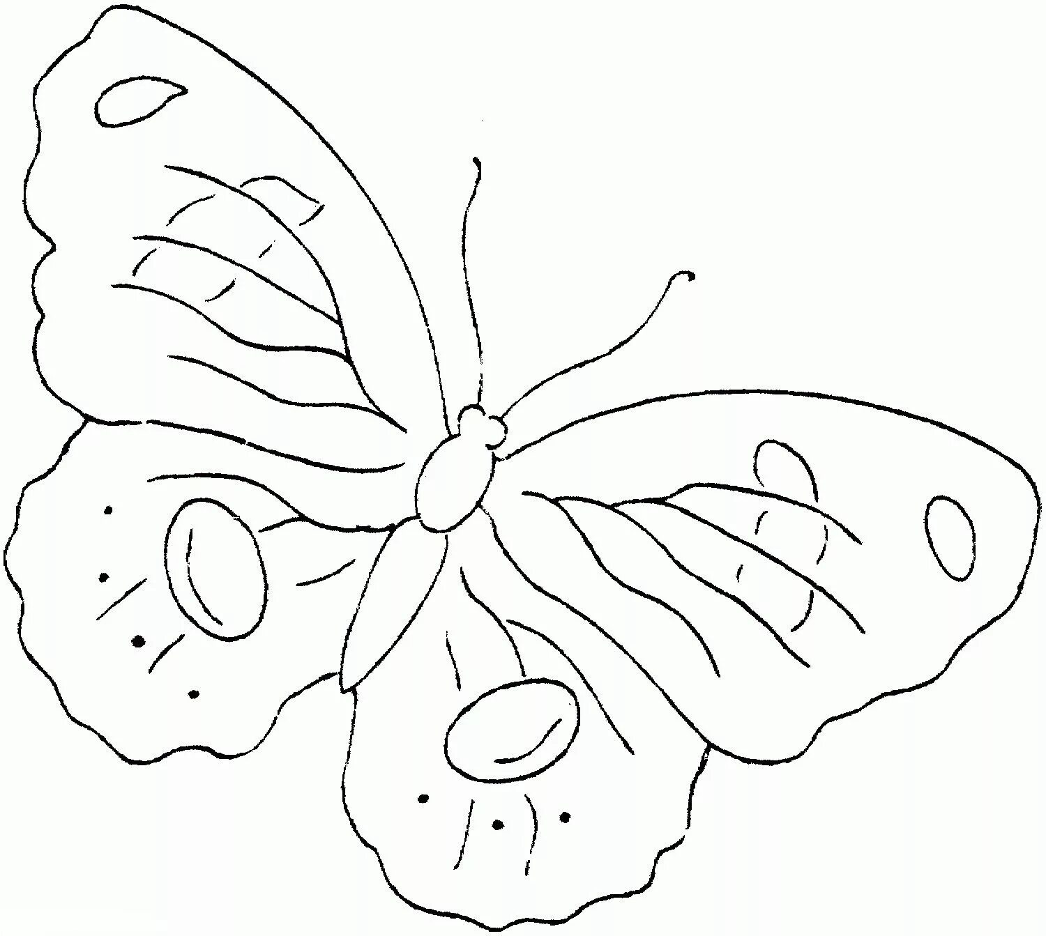 Бабочка раскраска для детей. Бабочка раскраска для малышей. Трафарет бабочки для рисования. Бабочка трафарет для раскрашивания. Рисование картинки шаблоны