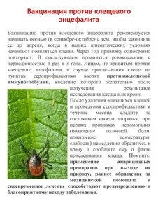 Прививка от клещевого энцефалита можно мочить