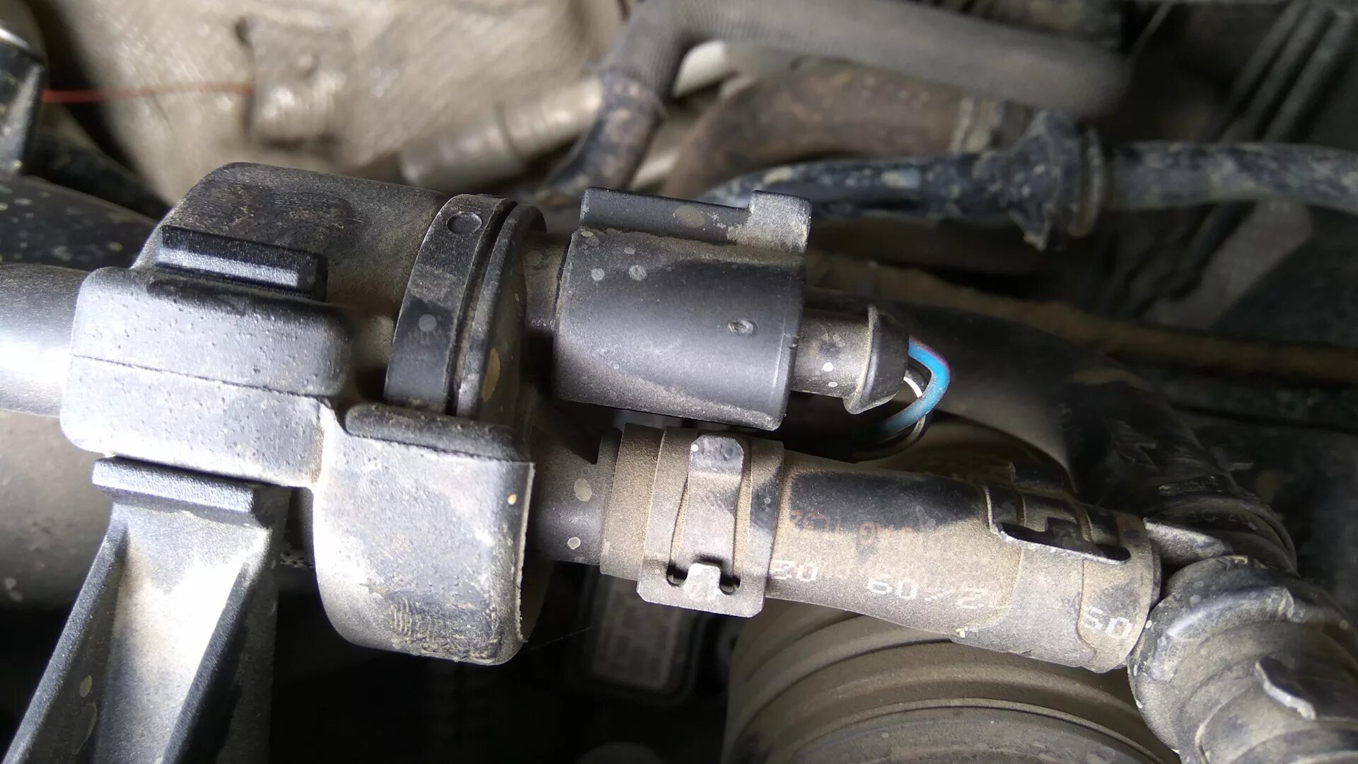 P0444 ошибка. Акцент p0444. p0444 нива. p0444 tiguan.