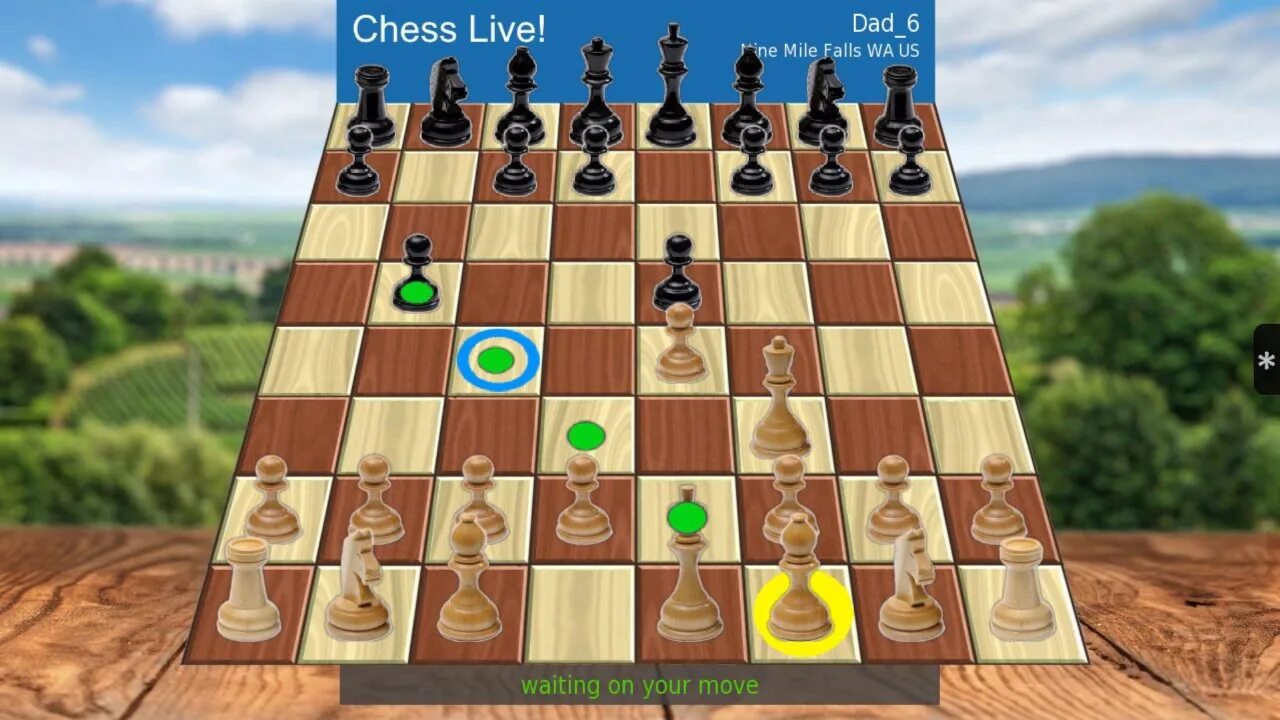 Шахматы Chess Live.