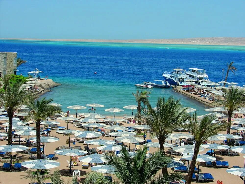 Hurghada seagull resort 4. Sea Gull Beach Resort Club 4 Хургада. Sea Gull Египет. Отель Сигал Египет Хургада. Sea Gull 4 Египет.