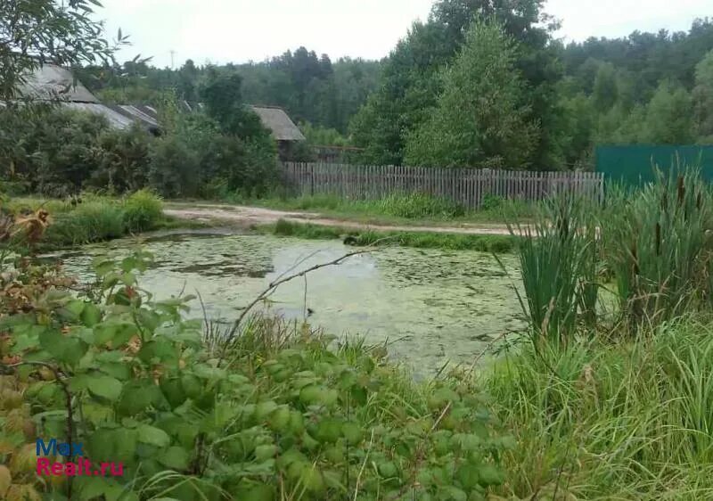 Золотаревка пензенская область. Золотаревка пенза. поселок золотаревка. посёлок золотаревка пенза. рабочий поселок золотаревка пензенская область.