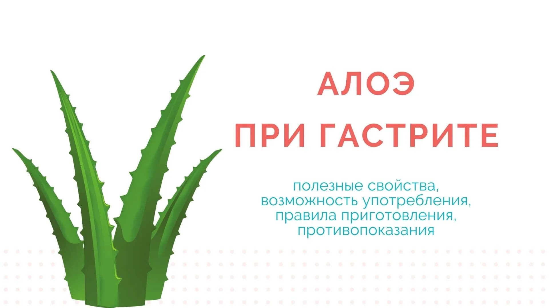 Можно ли алоэ при гастрите