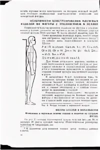 Ведущие размерные признаки фигуры. Ведущие размерные признаки фигуры