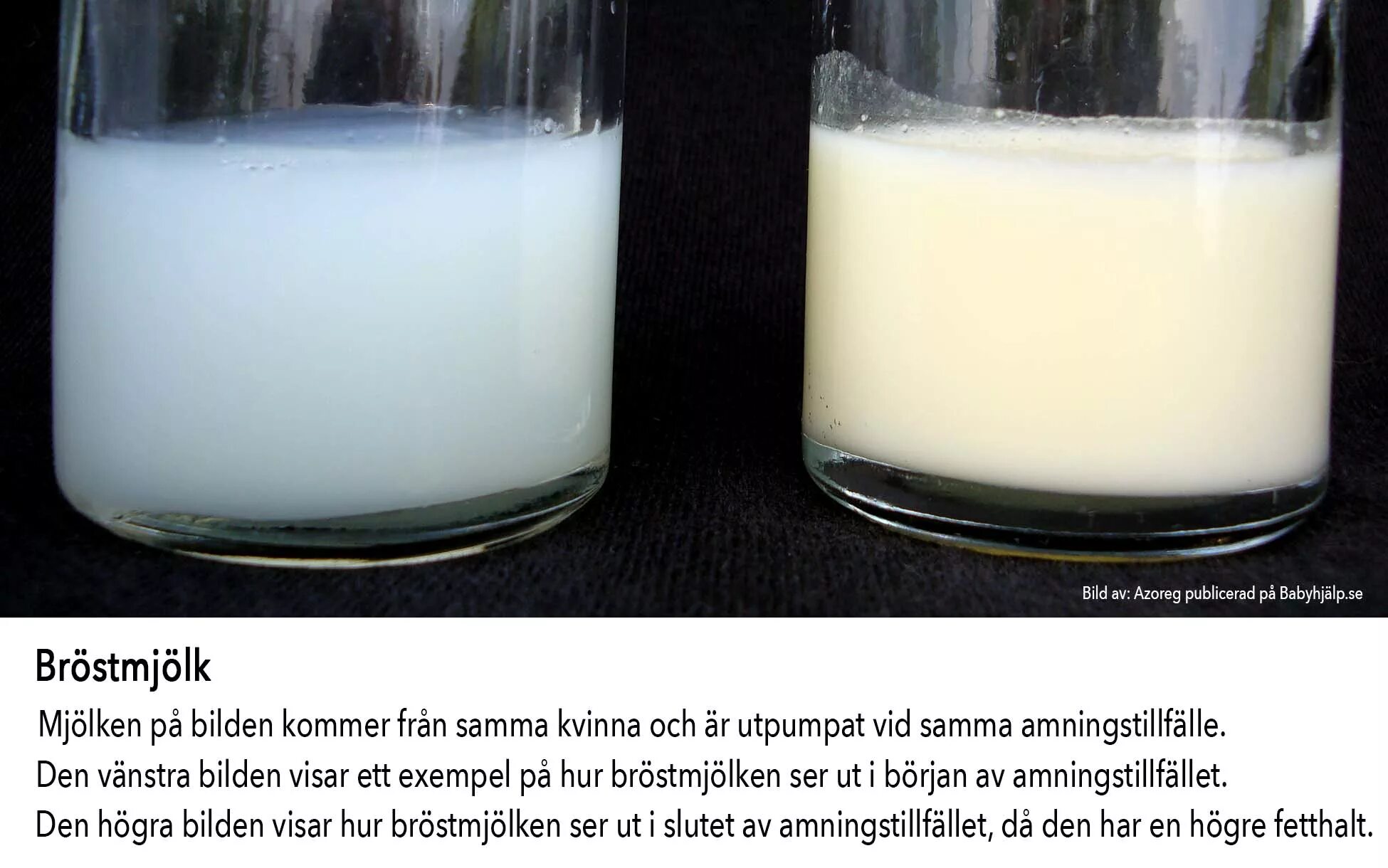 женское грудное молоко. пастеризация грудного молока. выработка грудного молока. грудное молоко. если есть молозиво будет ли молоко.