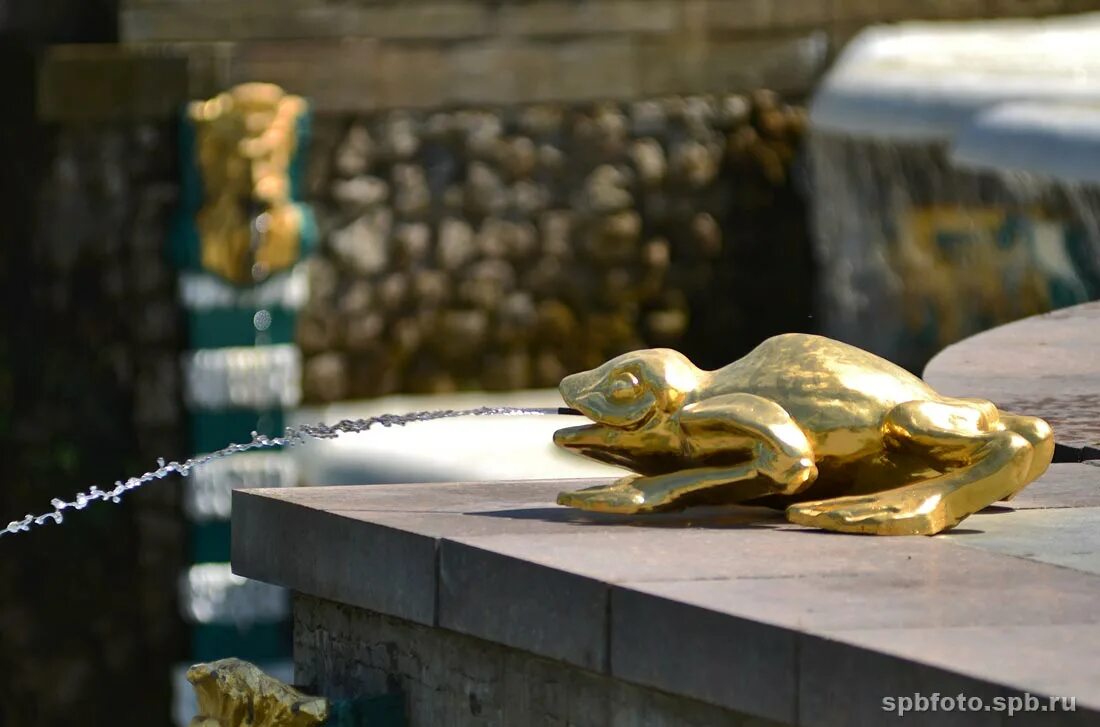жаба спб. жаба любви скульптура. санкт-петербург фонтан с лягушками. черная жаба спб. жаба питер памятник.