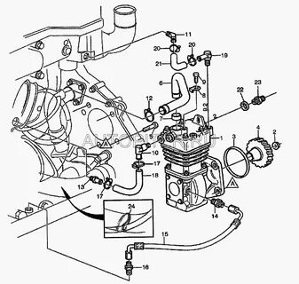 Дағыстандық қыздардың жыныстық ерекшеліктері