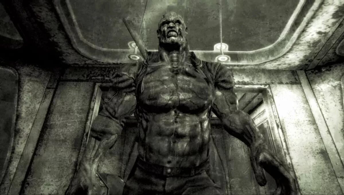 Fallout 3 фокс. Полковник отем fallout 3. нижнее белье для фоллаут 4.