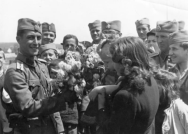 Сербский добровольческий корпус. Сербская добровольческая гвардия. Сербский добровольческий корпус. Коста печанац. Русский добровольческий корпус.