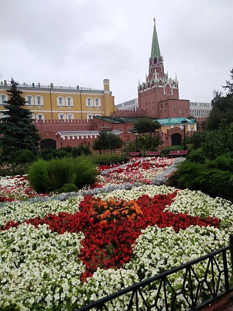 Сады московского кремля. Александровский сад Москва. Кремль и Александровский парк. Александрийский сад Бове. Александрийский сад в Москве.