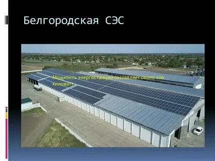 Сэс березники