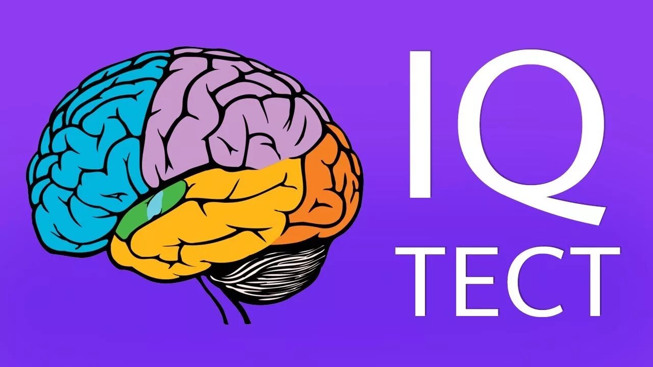 Brain 23. Тест на IQ. Результаты IQ теста. Тест на интеллект. Тест на айкью картинки.