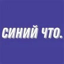 50 оттенков синего прикол. Дорогая не шуми негативный. Синие мемы. Кошка синего цвета. Шутки про голубых.