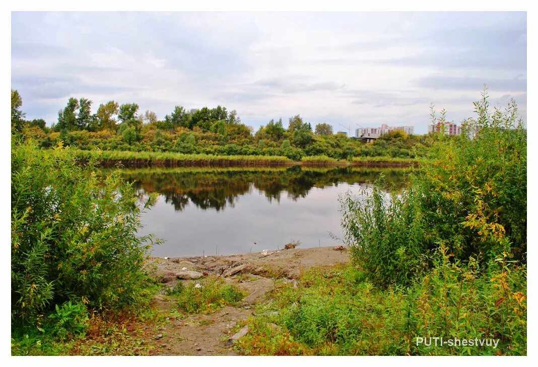 Притоки пышмы. Балда (приток пышмы). Притоки реки пышма. Речка пышма свердловская область. Пышма тюмень речка.
