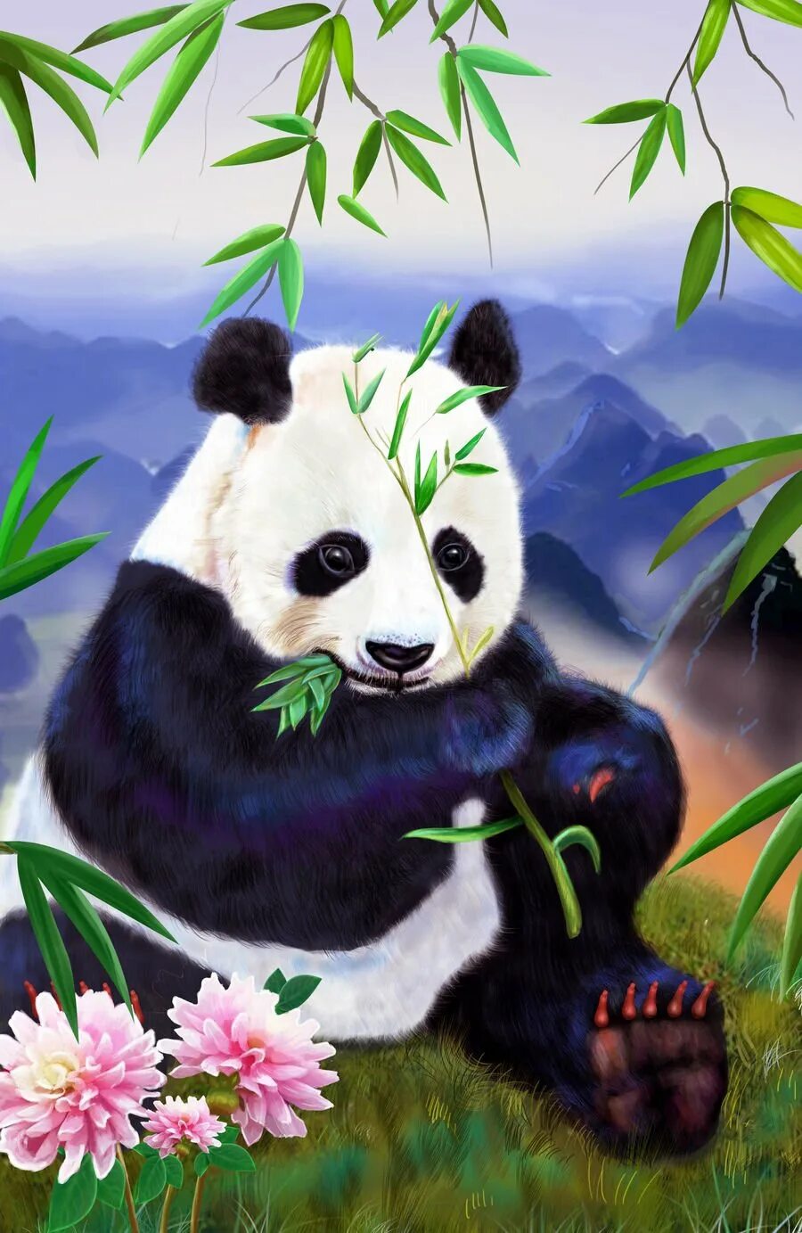 Телефоны pandas