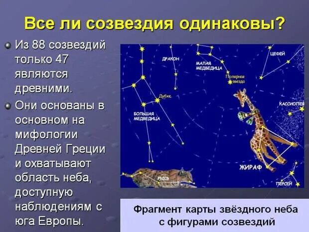 Какого созвездия не существует