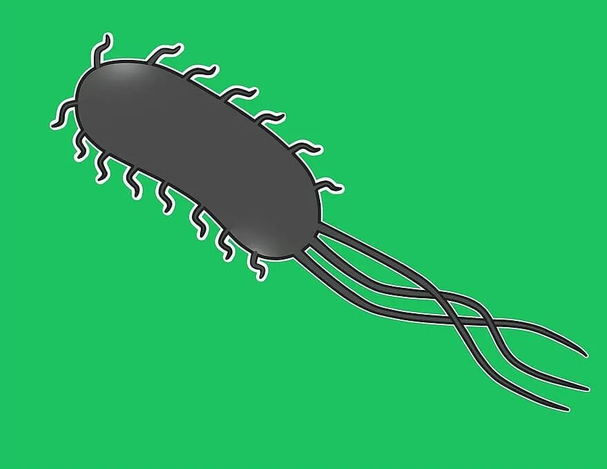 Бактерия 1 играть. Кишечная палочка e.coli. Бактерия Escherichia coli. Микроорганизм,Еscherichia coli. Кишечная палочка Escherichia coli.