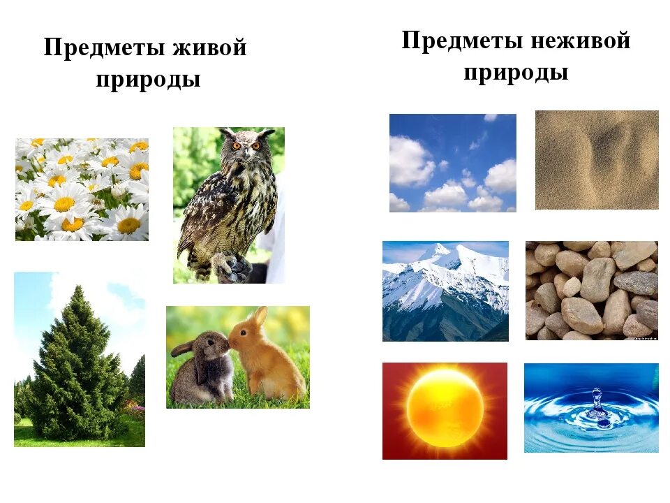Живая неживая природа россии. Объекты живой и неживой природы. Живая природа и неживая природа. Предметы живой и неживой природы. Живая не ЖЖИВАЯ природа.
