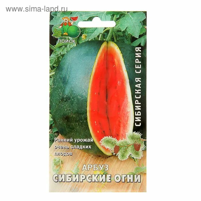 Семена арбуз сибирские огни. Арбуз сибирские огни 15 шт. Сибирские огни арбуз описание. Семена арбуза для сибири. Арбуз сибирские огни, семена алтая, 1гр.