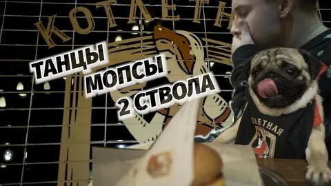 Мопс танцует 10 часов