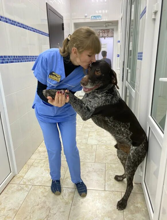 багира таганрог ветклиника. ветеринарная клиника багира астрахань. багира магадан ветклиника. багира саратов ветеринарная клиника. ветклиника багира номер телефона.