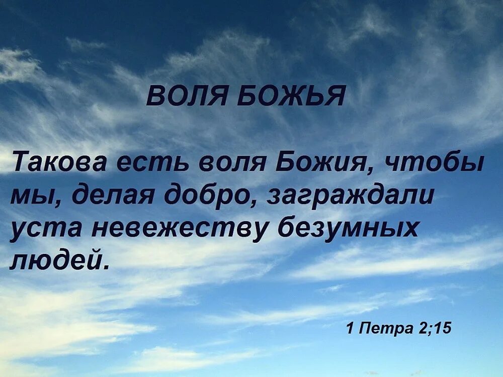 Божья Воля. На все Воля Божья. Такова Воля Божья. Да будет Воля Божия. Есть моя воля песня