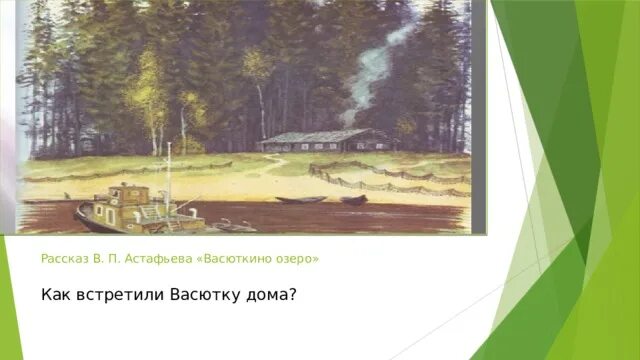 Сколько километров от дома был обнаружен васютка